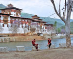 Punkha